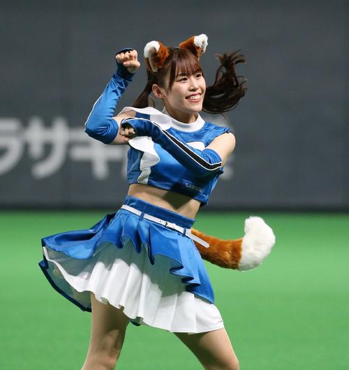 日本ハム対西武　尻尾つきの衣装で「きつねダンス」を踊るファイターズガール（撮影・黒川智章）