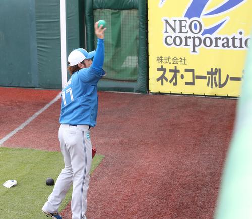日本ハム伊藤が壁に向かって投げる　