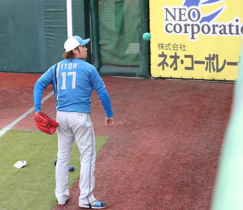 日本ハム伊藤が背面キャッチ試みる