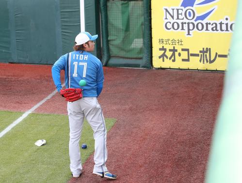 日本ハム伊藤の投手強襲対策か？