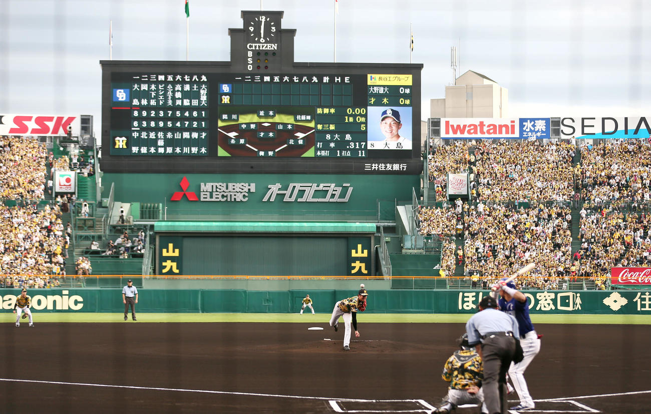 阪神対中日　甲子園で登板する阪神先発の才木（撮影・上山淳一）