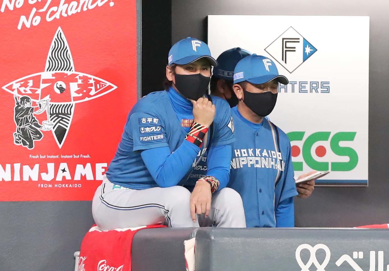 日本ハム対西武　ベンチから試合を見つめる新庄監督（撮影・黒川智章）