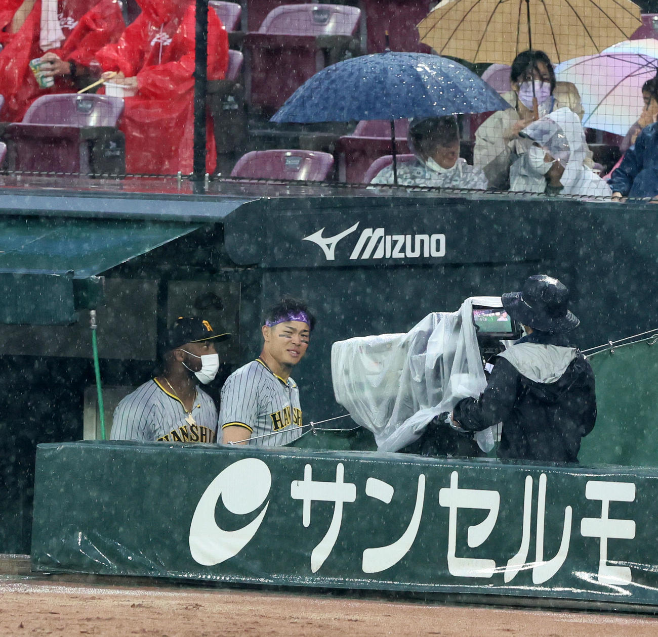 広島対阪神　雨天中止で引き揚げる佐藤輝ら阪神ナインたち（撮影・加藤哉）