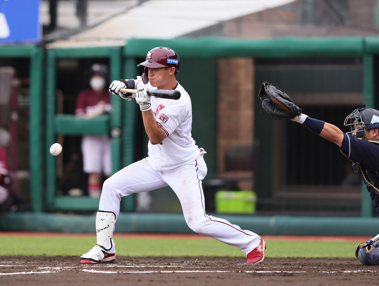 楽天対オリックス　6回裏楽天無死一、三塁、辰己はスクイズを決める（撮影・足立雅史）
