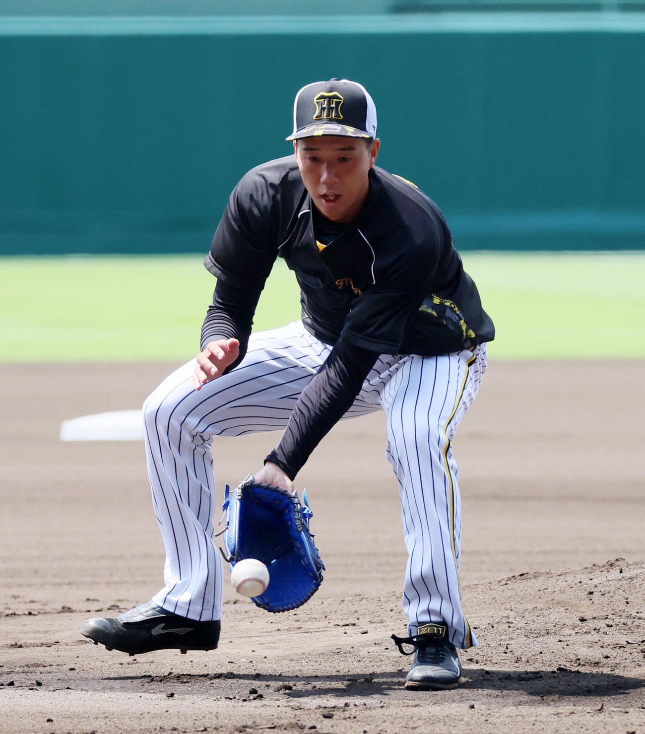 練習でゴロを捕球する青柳（撮影・加藤哉）