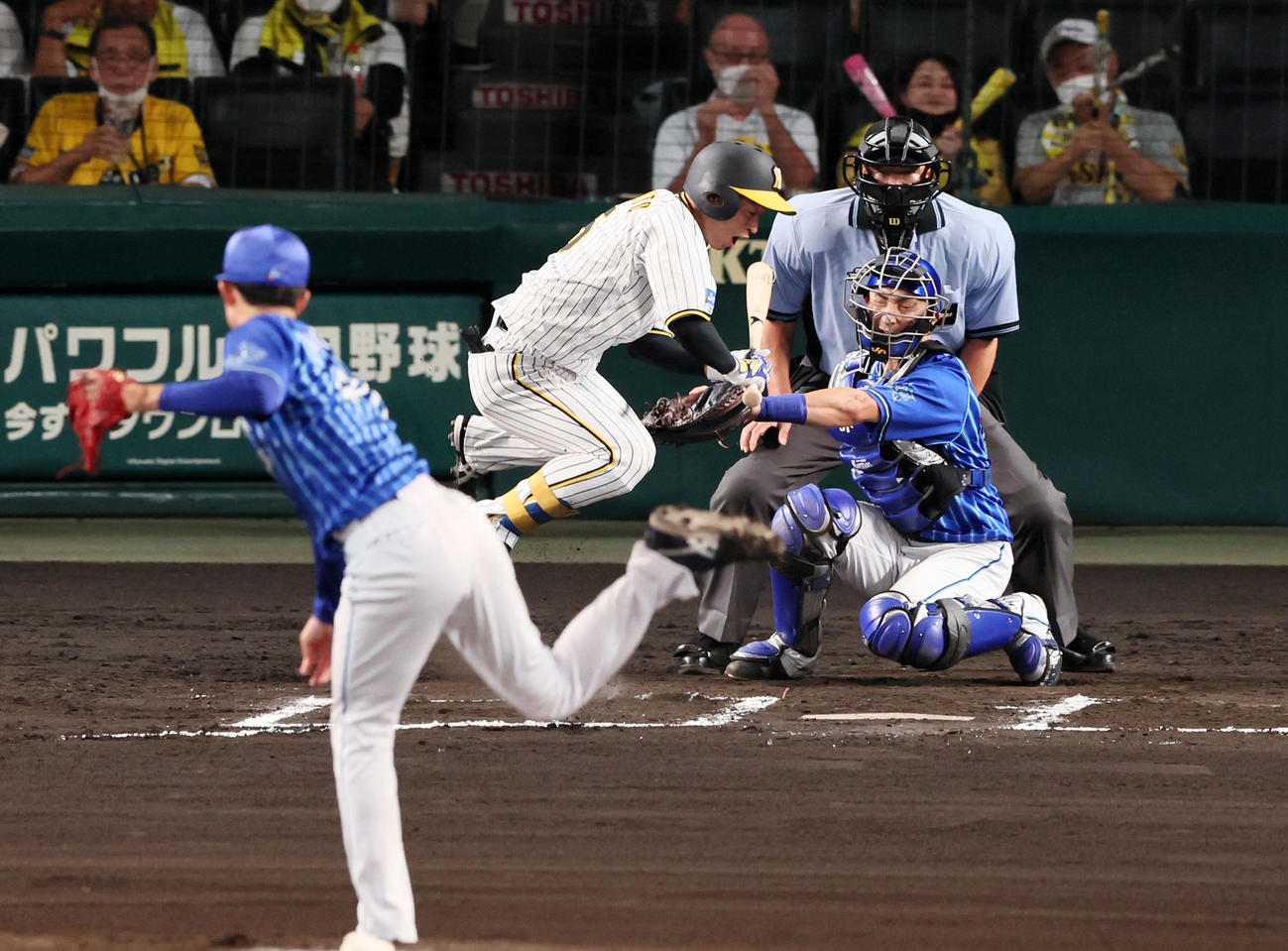 阪神対DeNA 6回裏阪神2死、近本は死球を受ける。投手は京山（撮影・加藤哉）