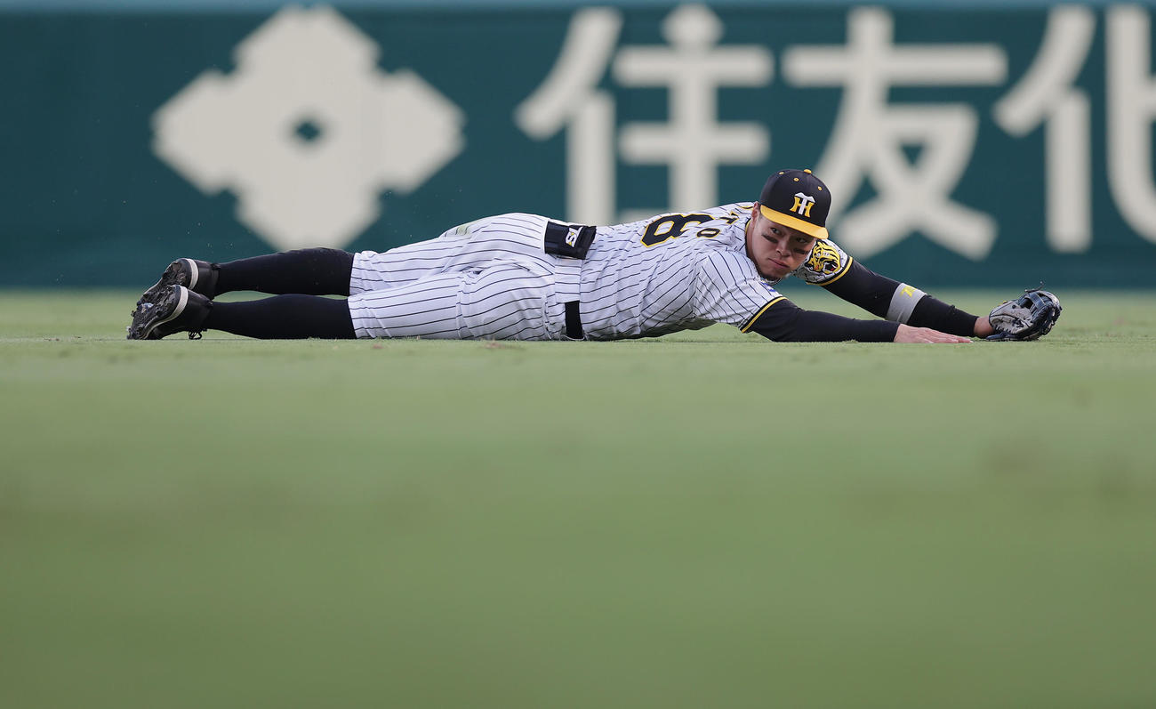 阪神対DeNA 2回表DeNA無死、牧の右飛に滑り込むも捕球できない佐藤輝（撮影・前田充）