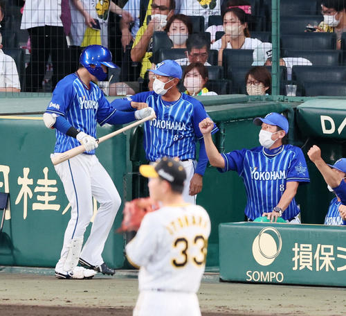 阪神対DeNA 4回表DeNA1死、右越えソロ本塁打を放った楠本(左)をタッチで迎える三浦監督(撮影・加藤哉)