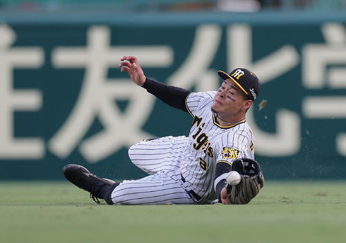阪神対DeNA 2回表DeNA無死、牧の右飛に滑り込むも捕球できない佐藤輝(撮影・前田充)