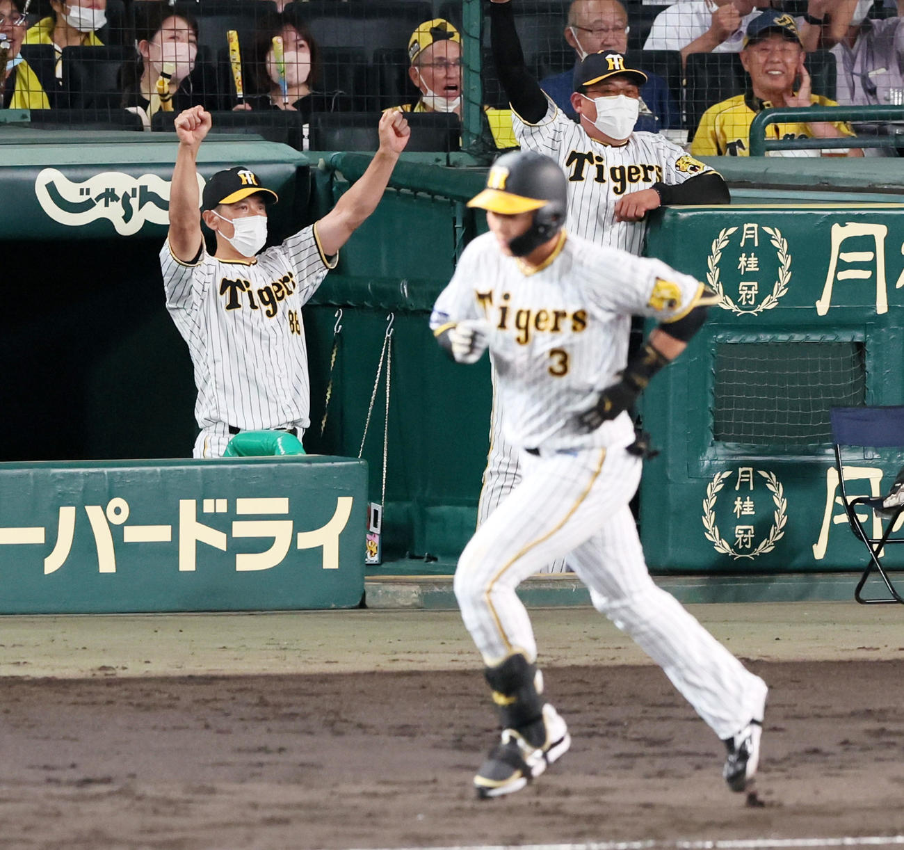 阪神対DeNA 4回裏阪神2死一塁、矢野監督（左）は大山の左越え逆転2点本塁打にガッツポーズを見せる（撮影・加藤哉）