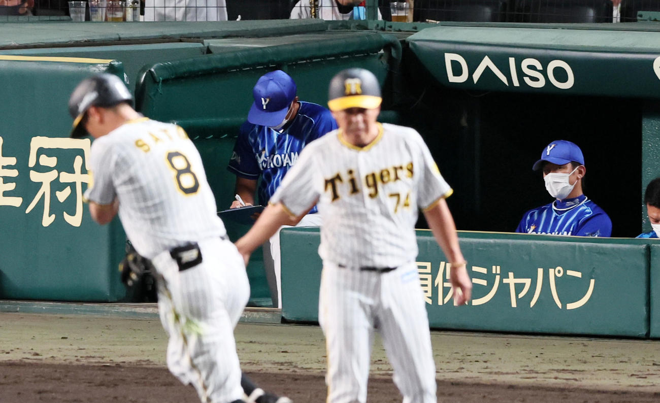 阪神対DeNA 6回裏阪神2死二塁、三浦監督は中越え2点本塁打を放った佐藤輝（左）をベンチから見つめる（撮影・加藤哉）