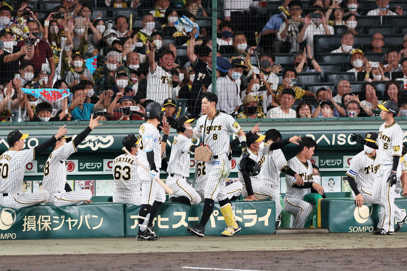 阪神対DeNA 6回裏阪神2死二塁、佐藤輝は中越え2点本塁打を放ち、ナインに迎えられる（撮影・加藤哉）