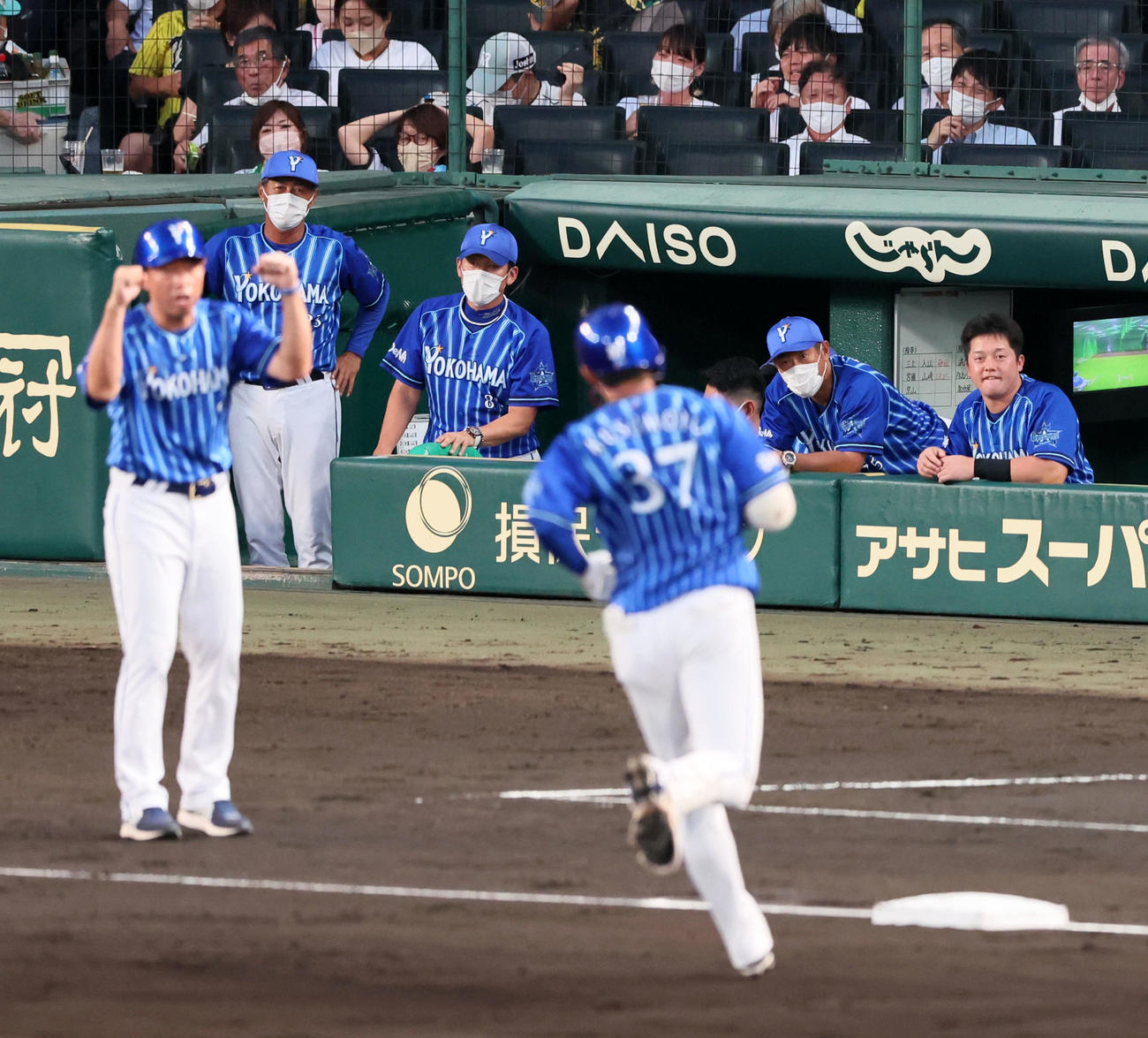 阪神対DeNA 4回表DeNA1死、右越えソロ本塁打を放った楠本を見守るベンチのナインと左から3人目の三浦監督（撮影・加藤哉）