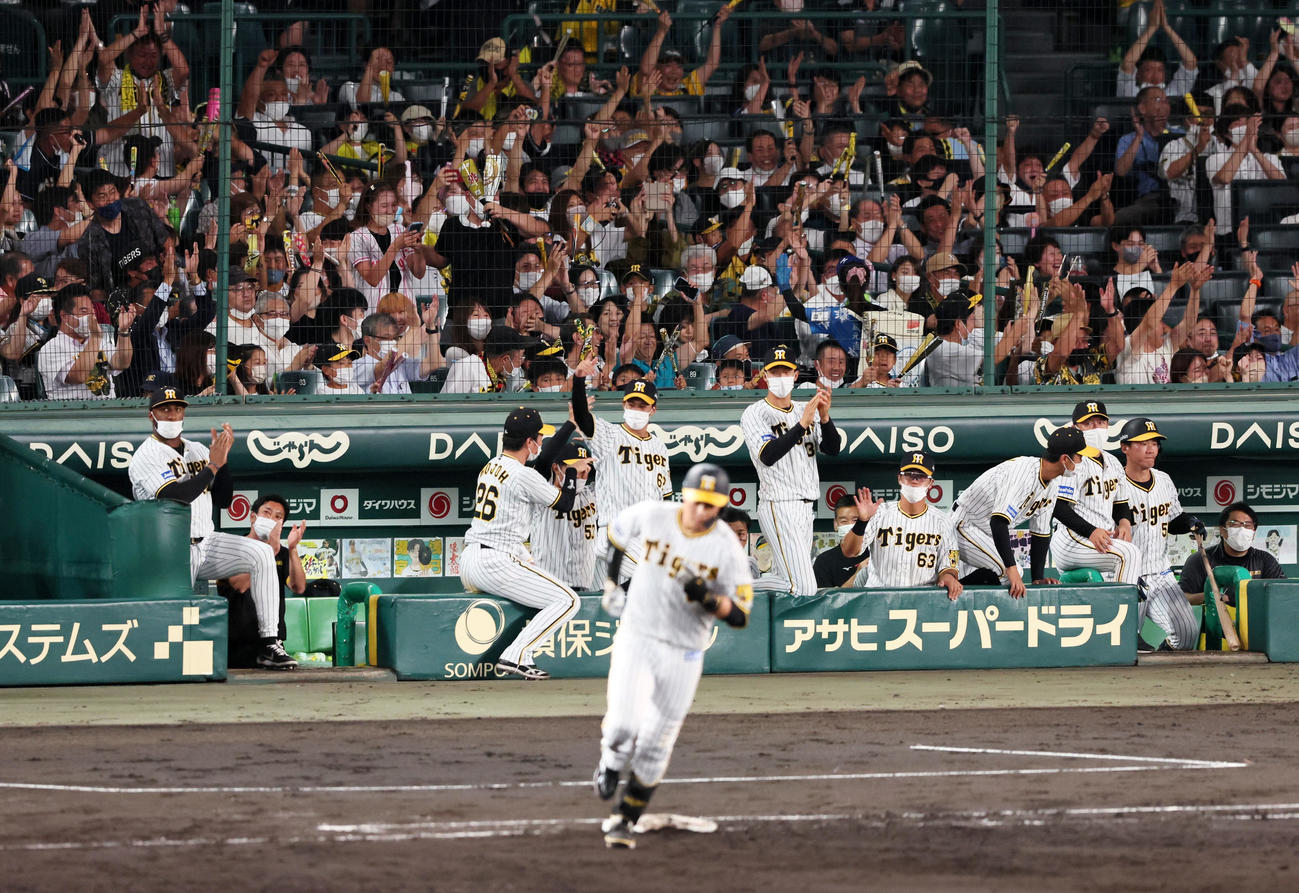 阪神対DeNA 4回裏阪神2死一塁、大山の左越え逆転2点本塁打に喜ぶ、阪神ナインとファン（撮影・加藤哉）