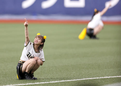オリックス対ソフトバンク 「たぬきダンス」を披露するBsガールズ(撮影・上山淳一)