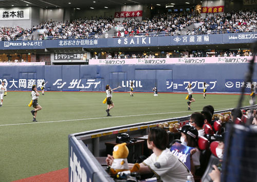 オリックス対ソフトバンク 「たぬきダンス」を披露するBsガールズ(撮影・上山淳一)