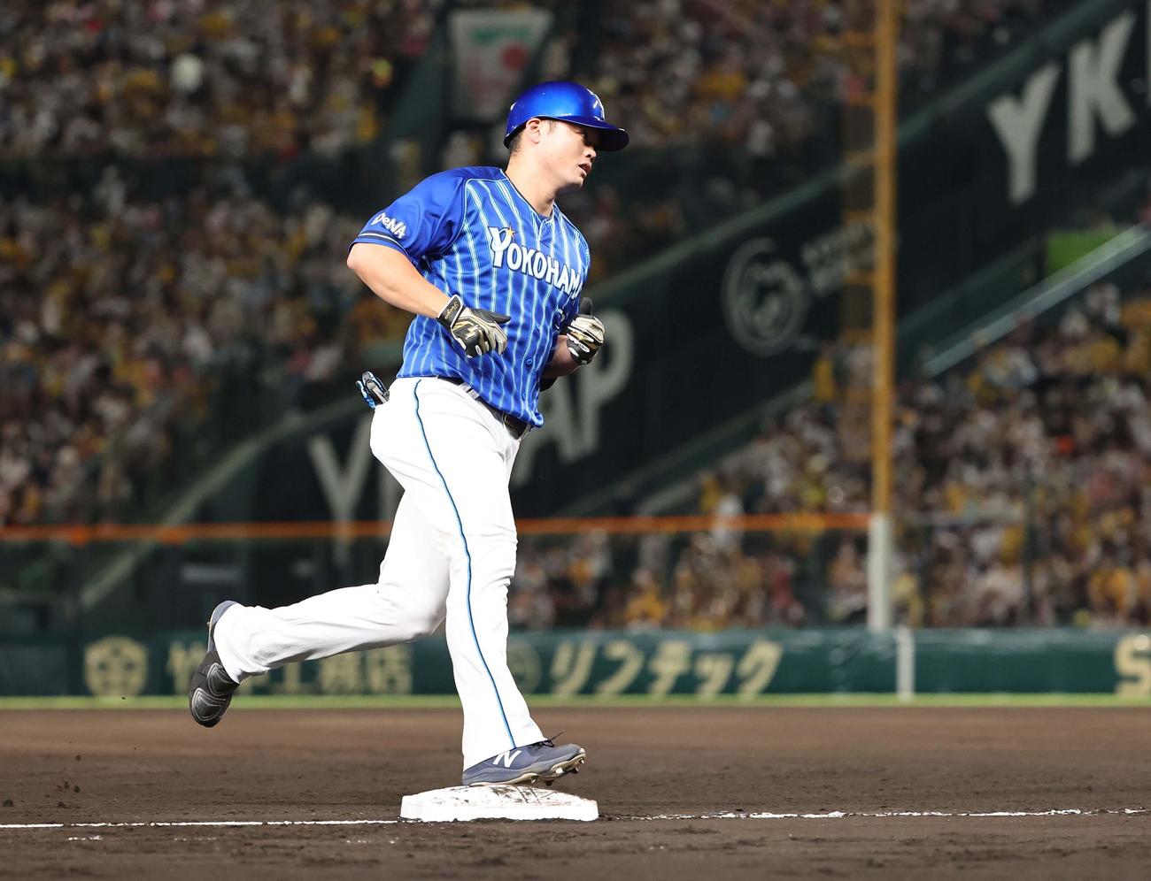 阪神対DeNA 6回表DeNA無死、細川は左越え本塁打を放つ（撮影・上田博志）