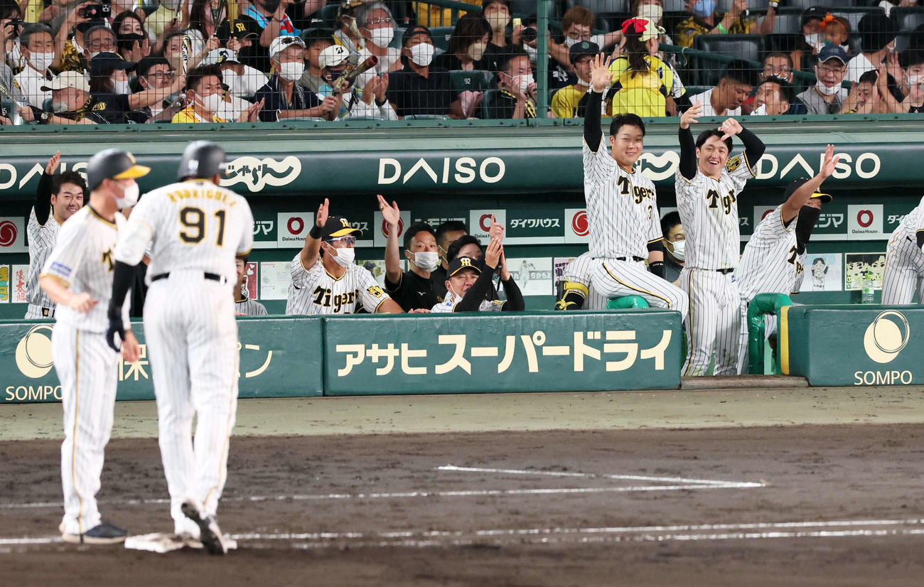 阪神対DeNA 8回裏阪神1死一、三塁、ロドリゲスの中前適時打を、ベンチの近本（右から2人目）と大山（同3人目）らも祝福する（撮影・加藤哉）