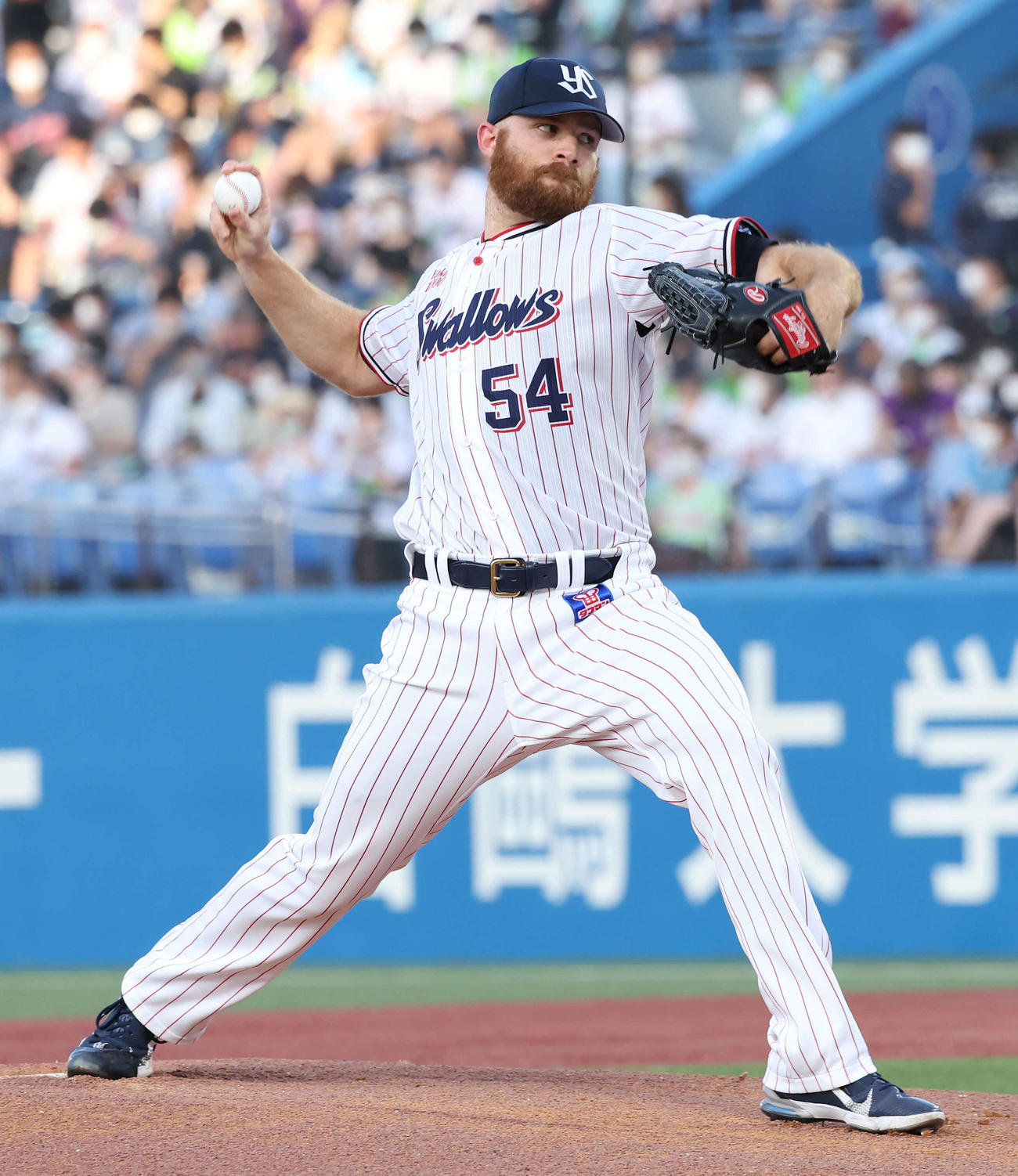 ヤクルト対広島　力投するヤクルト先発サイスニード（撮影・丹羽敏通）