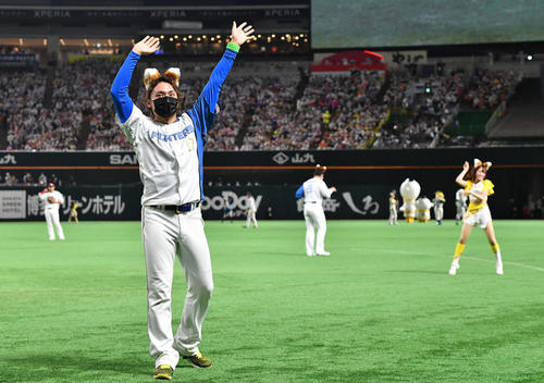 全パ対全セ 12球団チアガールによるきつねダンスが行われる中、きつね耳をつけて登場した日本ハム伊藤(撮影・岩下翔太)