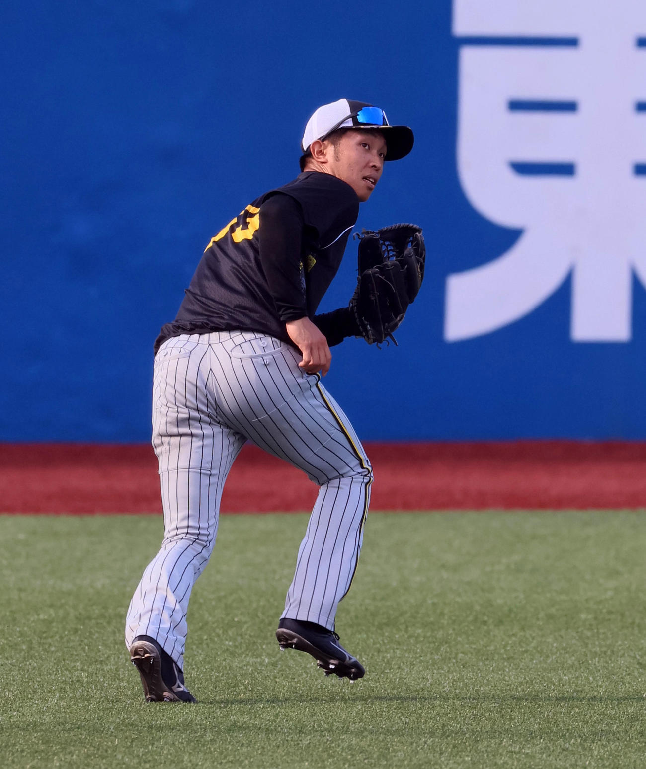 ヤクルト対阪神　左翼でノックを受ける島田（撮影・加藤哉）