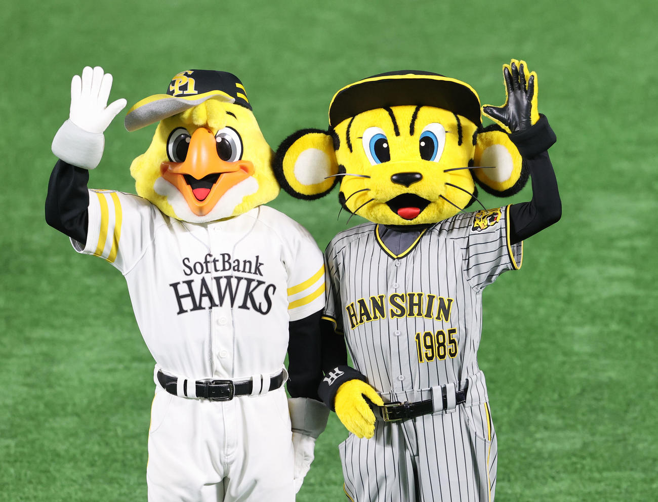 全パ対全セ　ハリーホークとトラッキー（右）（撮影・梅根麻紀）