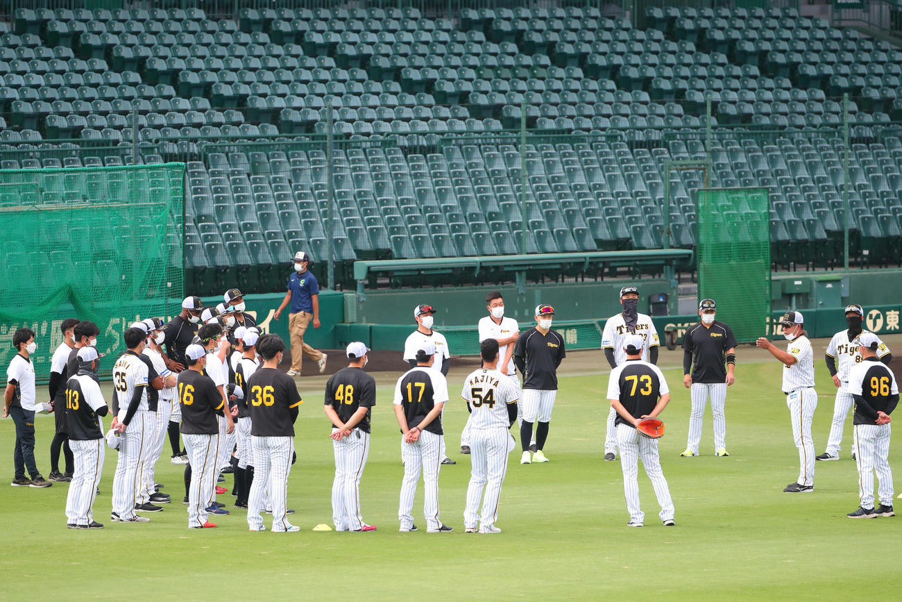 練習前に円陣を組んで井上ヘッドコーチ（右から3人目）の話を聞く阪神ナイン（撮影・宮崎幸一）
