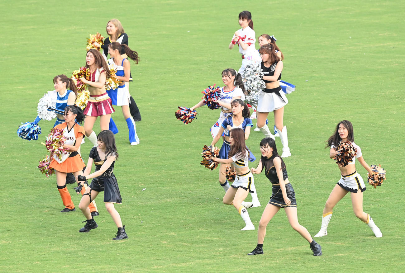 全セ対全パ　パフォーマンスを行う各球団のチアガール（撮影・前岡正明）