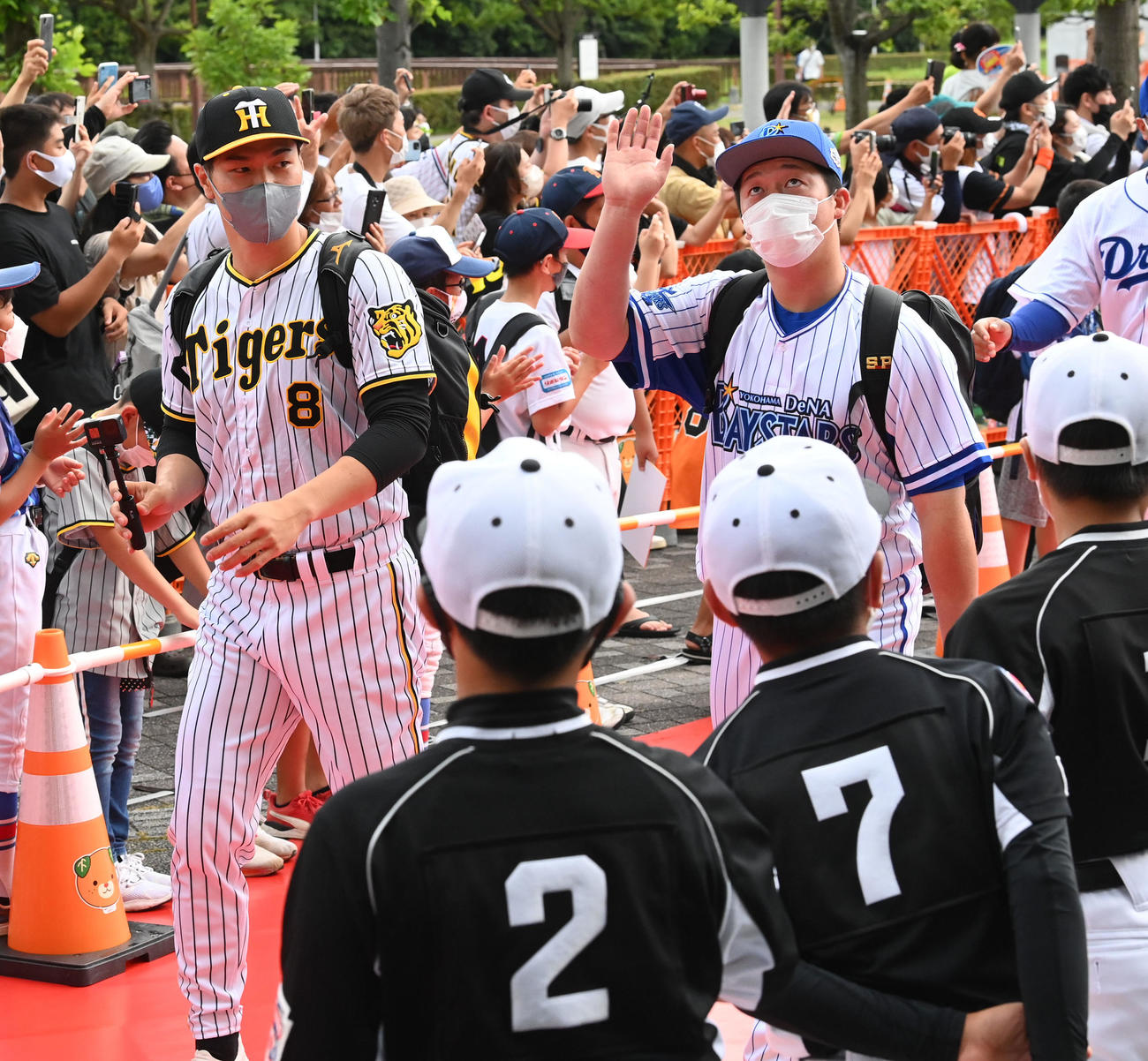 全セ対全パ　ファンの中を選手の先頭でレッドカーペットを歩く阪神佐藤輝（左）DeNA牧（撮影・前岡正明）