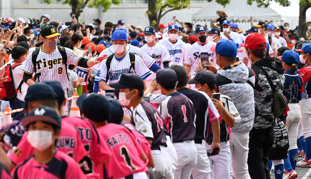 全セ対全パ　ファンの中を選手の先頭でレッドカーペットを歩く阪神佐藤輝（左）DeNA牧（撮影・前岡正明）