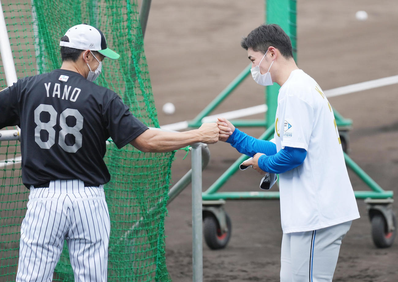全セ対全パ　練習中に矢野監督（左）にタッチであいさつする清宮（撮影・菅敏）