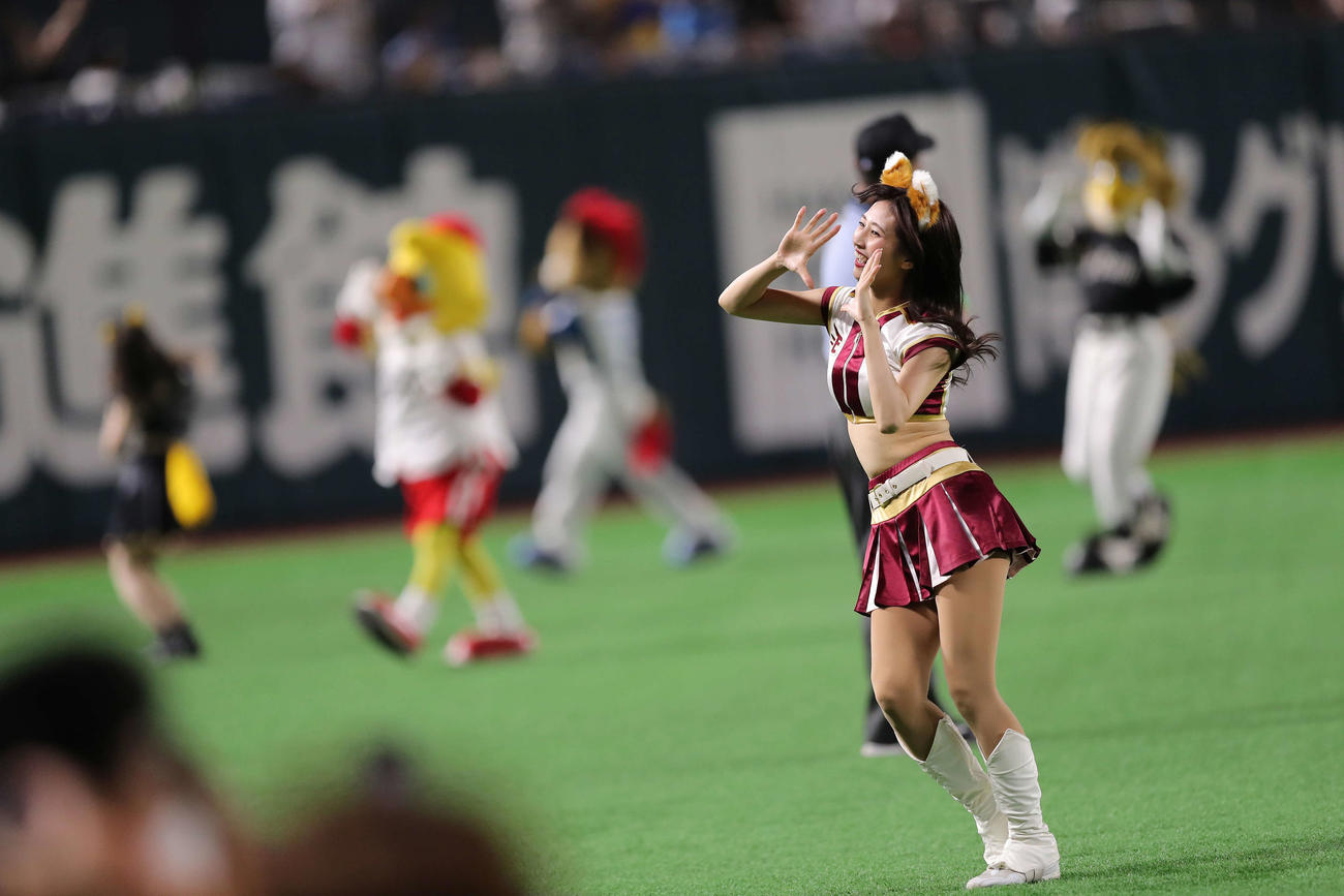 26日、全パ対全セ　4回裏終了後、12球団チアガールによるきつねダンスが行われる