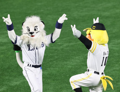 26日、きつねダンスで盛り上げる各球団のチアとマスコット
