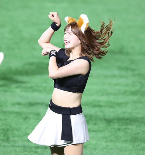 26日、きつねダンスで球場を盛り上げる各球団のチア