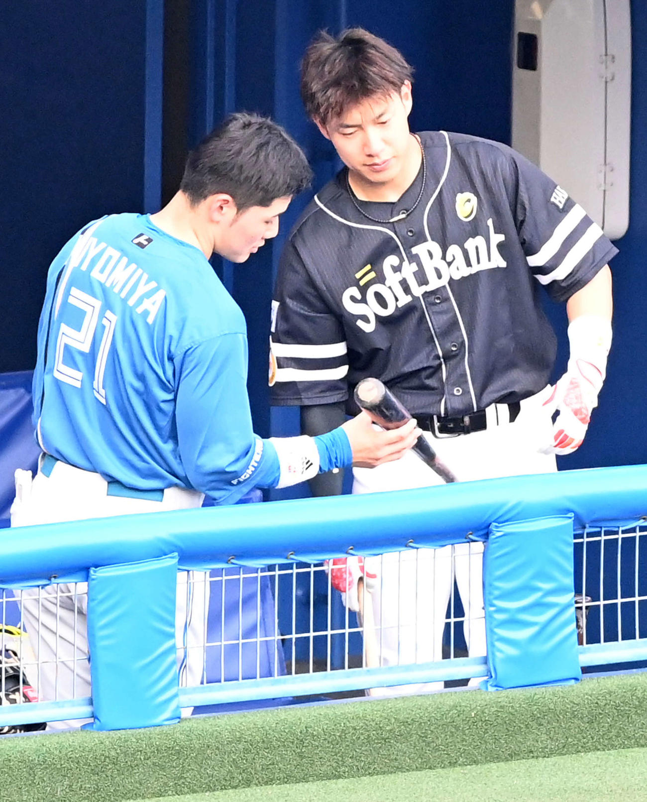 全セ対全パ　試合前、バットを手に打撃談義を行う日本ハム清宮（左）とソフトバンク柳田（撮影・前岡正明）