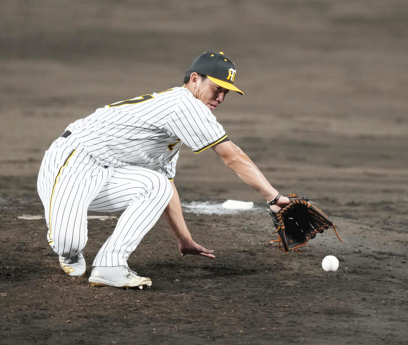 全セ対全パ　5回表全パ1死、小深田の打球に反応する伊藤将（撮影・菅敏）