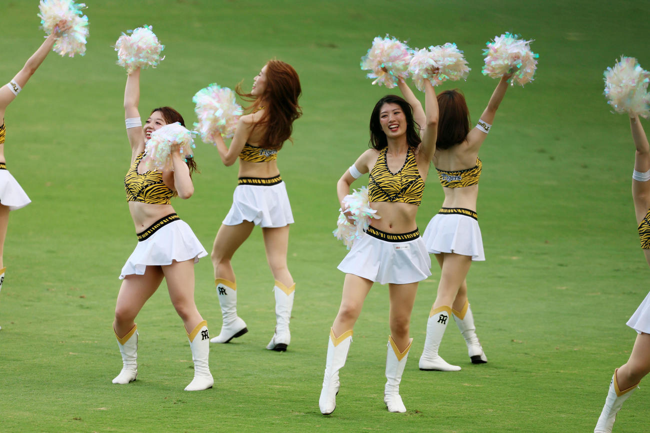 阪神対ヤクルト　試合前グラウンドでダンスを披露するタイガースガールズ（撮影・加藤哉）