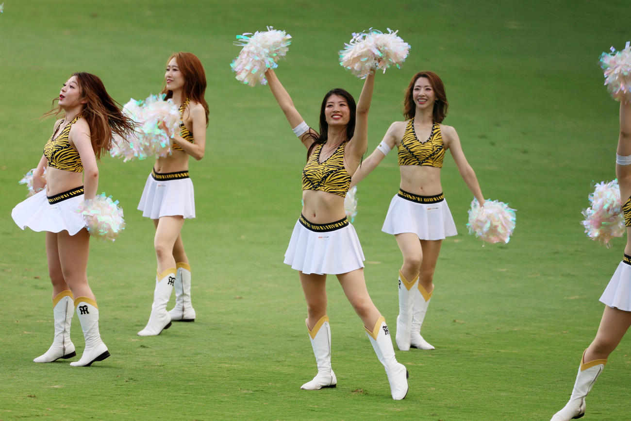 阪神対ヤクルト　試合前グラウンドでダンスを披露するタイガースガールズ（撮影・加藤哉）