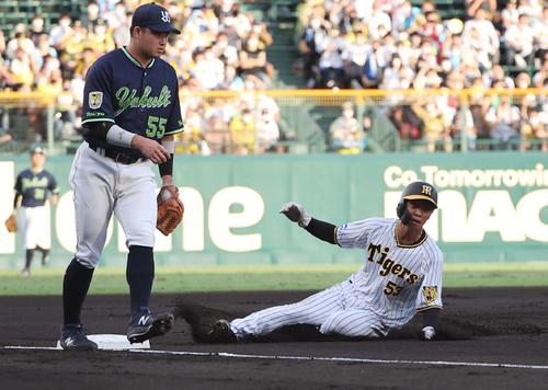 阪神対ヤクルト 1回裏阪神無死一、二塁、三盗を決める島田(撮影・上田博志)