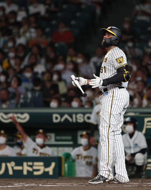 阪神対ヤクルト 4回裏阪神無死、ロドリゲスは左越えにソロ本塁打を放つ(撮影・上田博志)