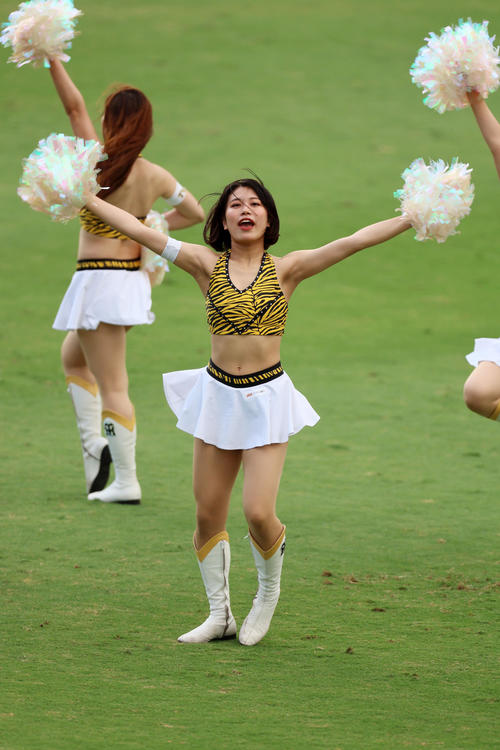 阪神対ヤクルト 試合前グラウンドでダンスを披露するタイガースガールズ(撮影・加藤哉)