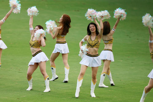 阪神対ヤクルト 試合前グラウンドでダンスを披露するタイガースガールズ(撮影・加藤哉)
