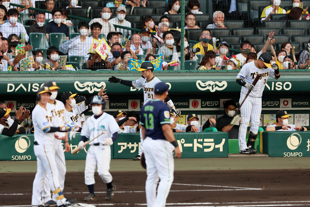 阪神対ヤクルト　1回裏阪神無死一、三塁、三塁走者中野は近本の右前適時打で生還しベンチのナインとタッチする。右は大山（撮影・加藤哉）
