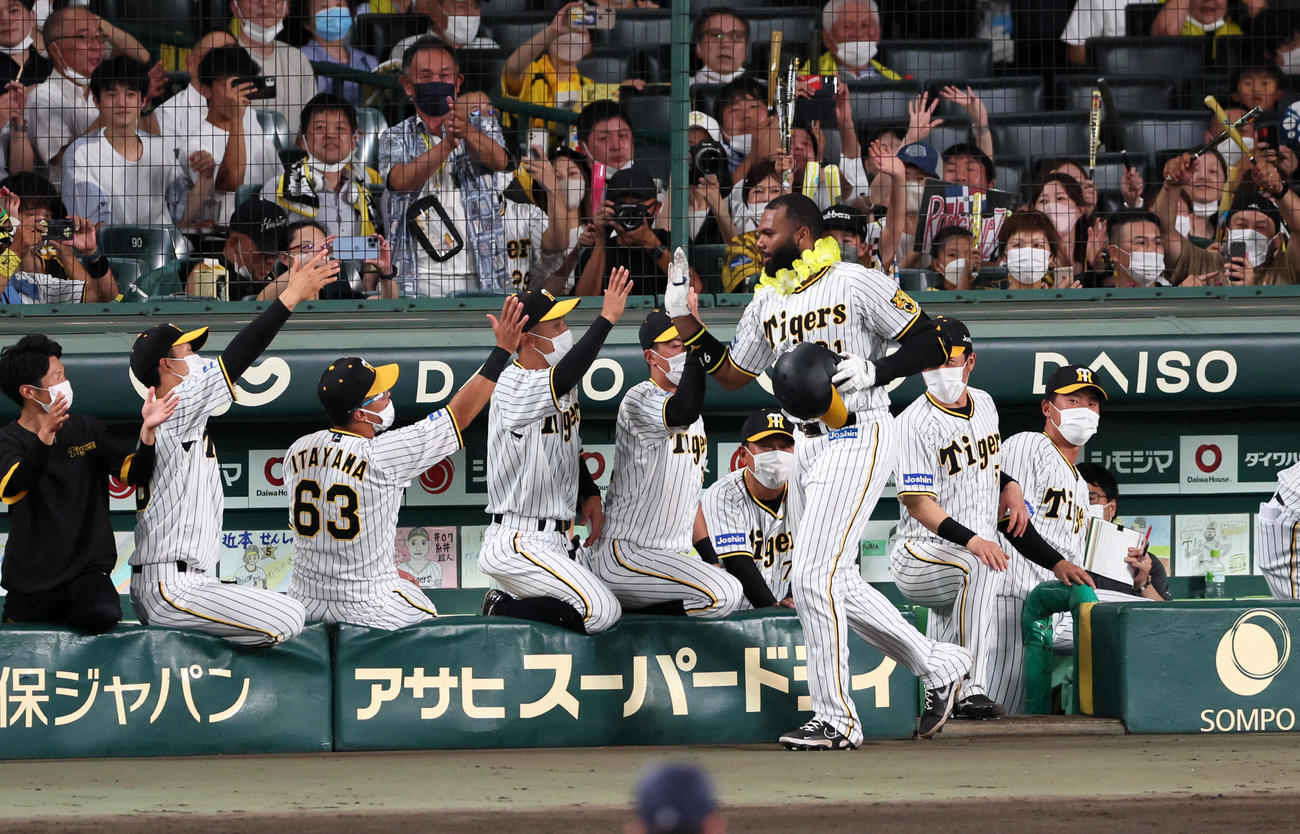 阪神対ヤクルト　4回裏阪神無死、ロドリゲスは左越えソロ本塁打を放ちベンチのナインとタッチする（撮影・加藤哉）