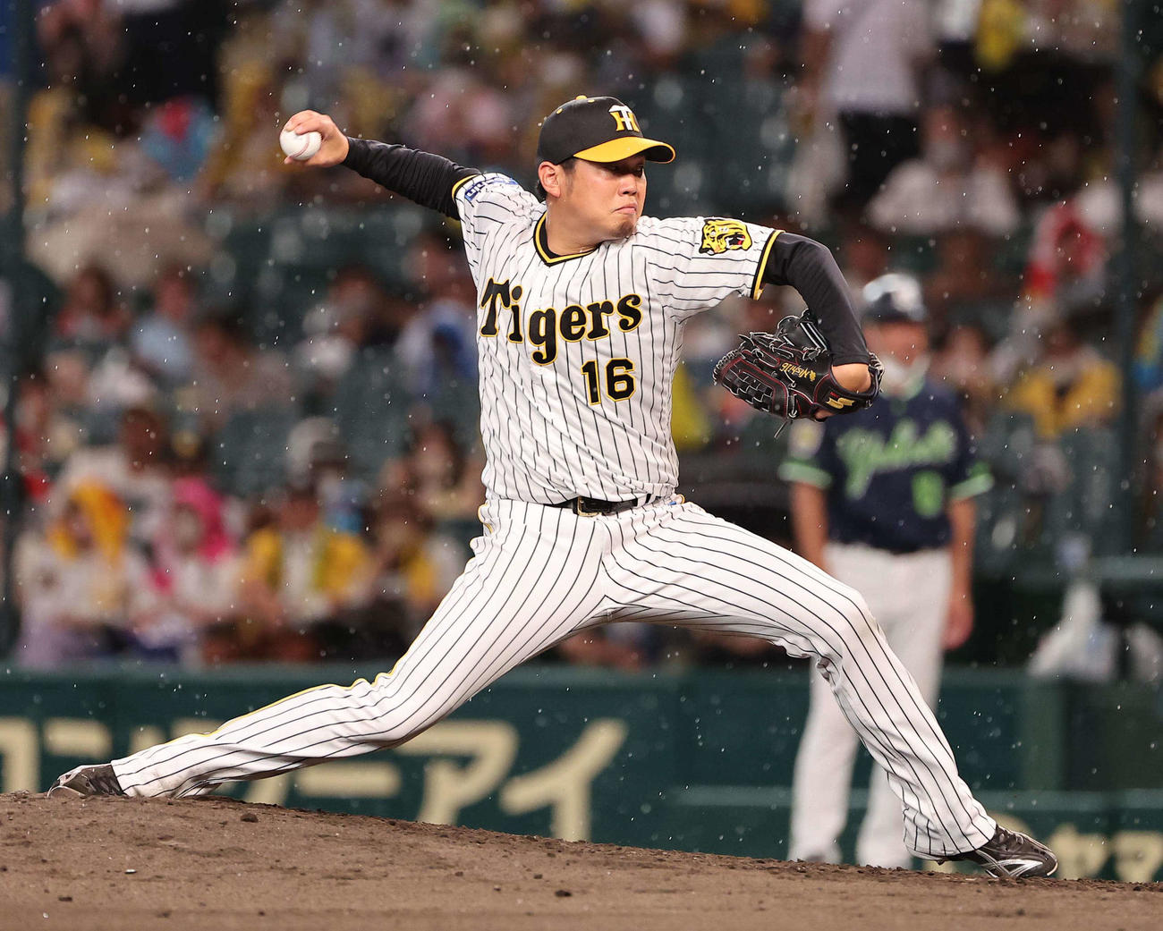 阪神対ヤクルト　にわか雨が降る中で力投する西勇（撮影・上田博志）