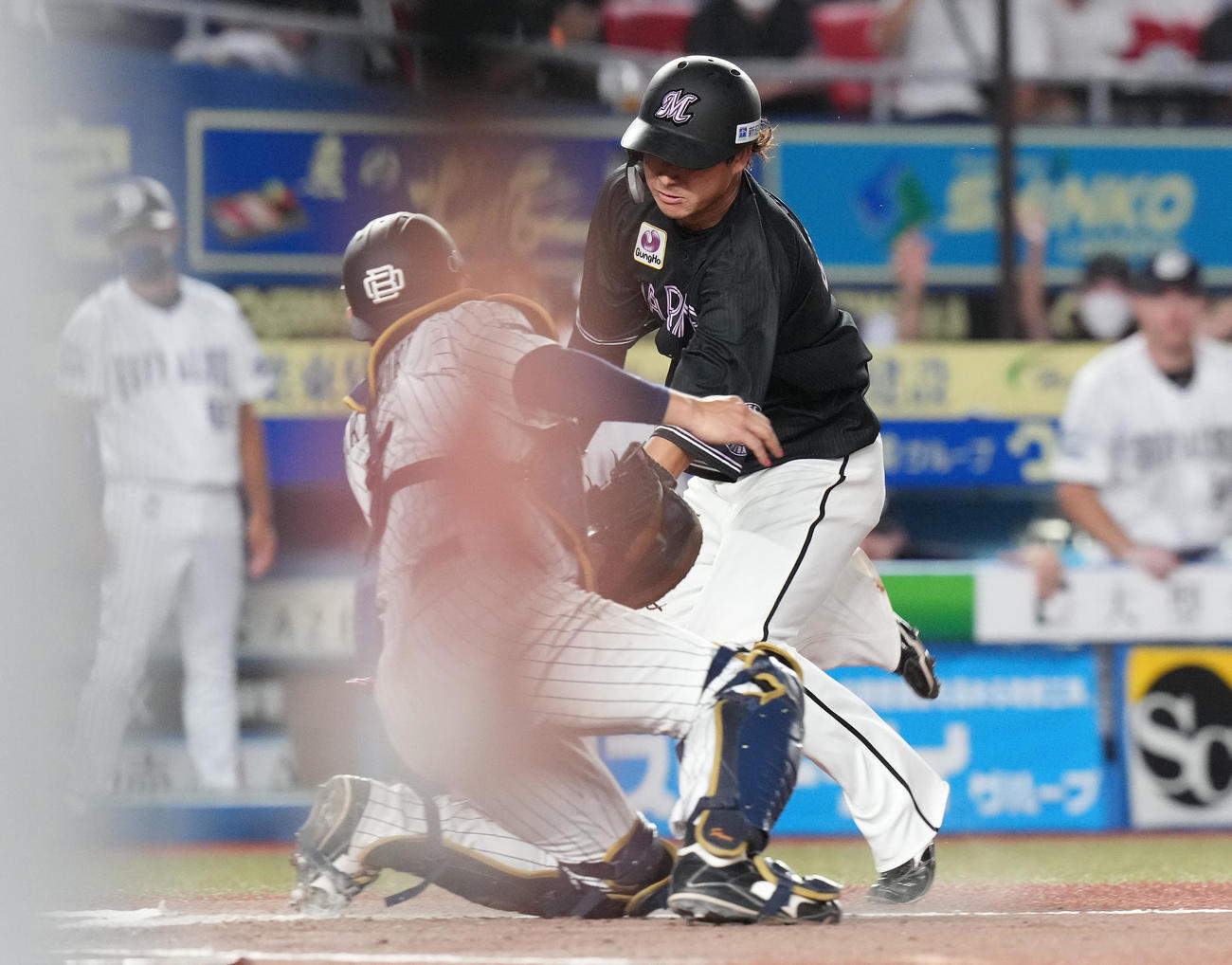 ロッテ対オリックス　11回裏ロッテ2死一、二塁、菅野の左前打で生還を試みるもアウトになる二塁走者藤岡。捕手若月（撮影・鈴木みどり）