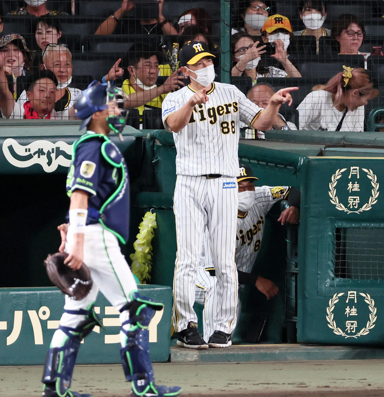阪神対ヤクルト　6回裏阪神1死、矢野監督は島田の一塁判定にリクエストする（撮影・加藤哉）