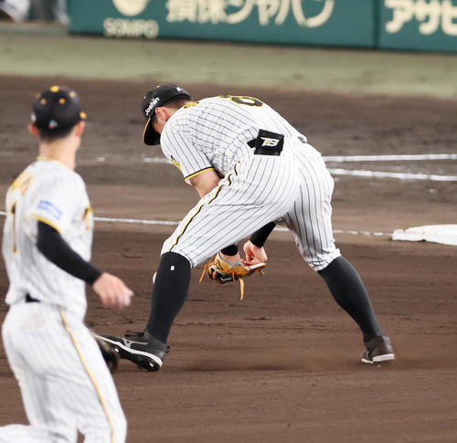 阪神対ヤクルト　6回表ヤクルト1死一塁、佐藤輝は山田の打球を前にこぼすが三ゴロとする（撮影・加藤哉）