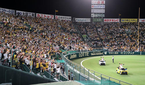 阪神対ヤクルト　ヒーローインタビューを終えリリーフカーで場内1周する糸原（右）と才木（撮影・加藤哉）