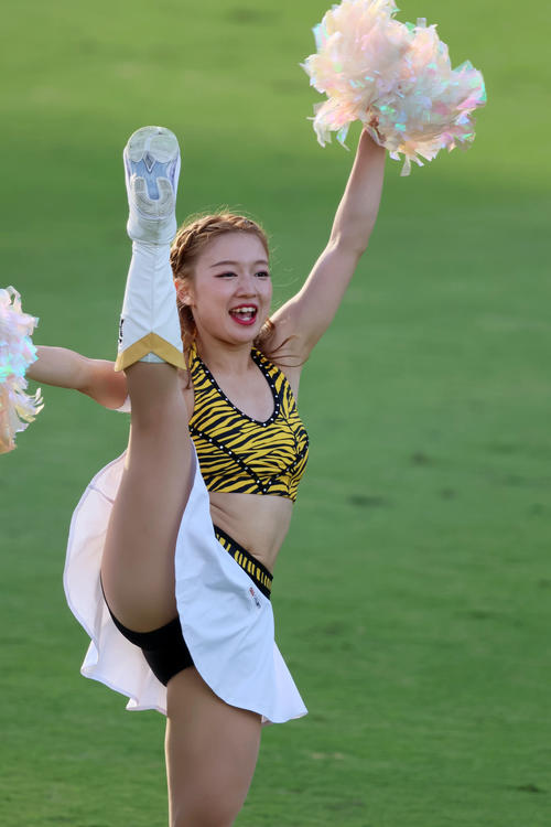 阪神対ヤクルト　　試合前にダンスを披露するタイガースガールズ（撮影・加藤哉）